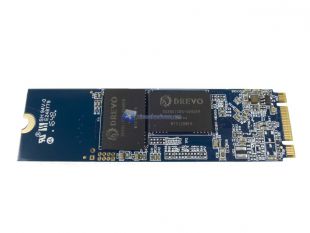 Drevo-D1-11