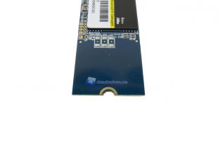 Drevo-D1-9