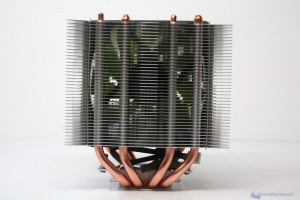 00069 COOLINK_CORATOR_DS