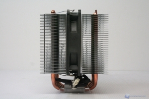 00070 COOLINK_CORATOR_DS