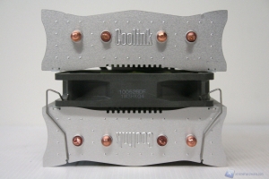 00072 COOLINK_CORATOR_DS