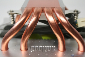 00079 COOLINK_CORATOR_DS